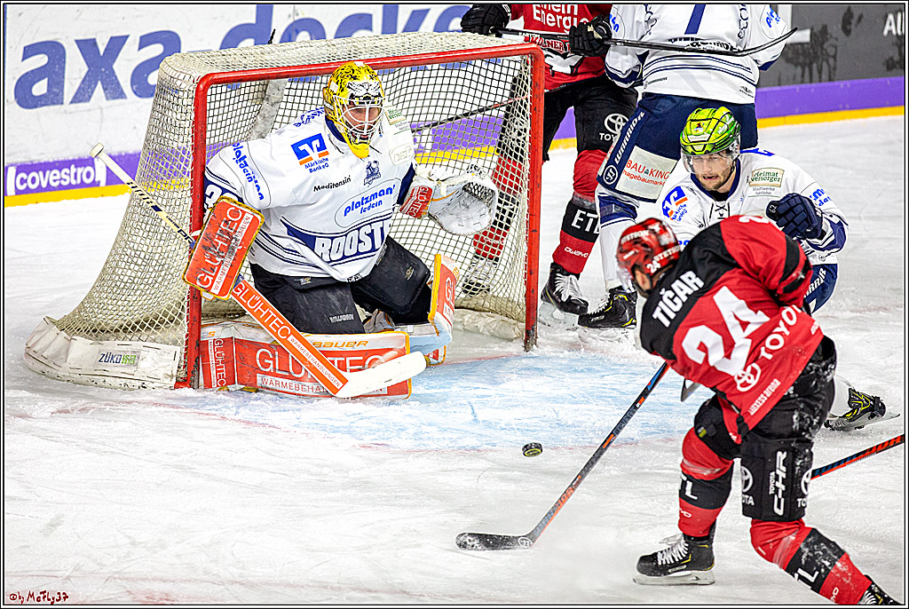 DEL; Koelner Haie - Iserlohn Roosters, 04.01.2019